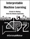 Interpretable Machine Learning: A Guide for Making Black Box Models Explainable (Christoph Molnar)