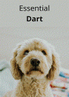 Essential Dart (Krzysztof Kowalczyk)