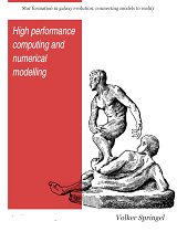 High Performance Computing and Numerical Modelling (Volker Springel)