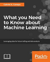 What You Need to Know about Machine Learning? (Gabriel A. Canepa)